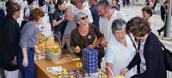 Demokratizacija i razvoj civilnog društva Program razvoja civilnog društvaIzgradnja održive zajednice 