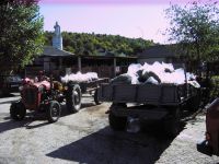 biskupija